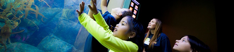 children at aquarium